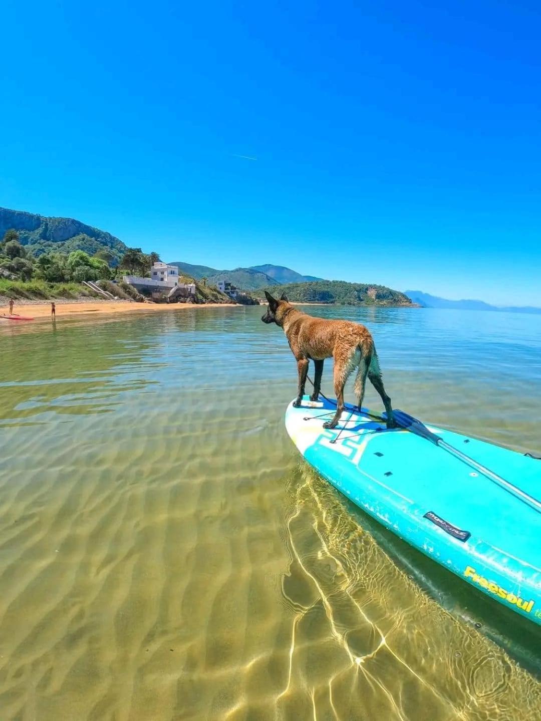 Hotel Plage D'Or Jijel Eksteriør billede